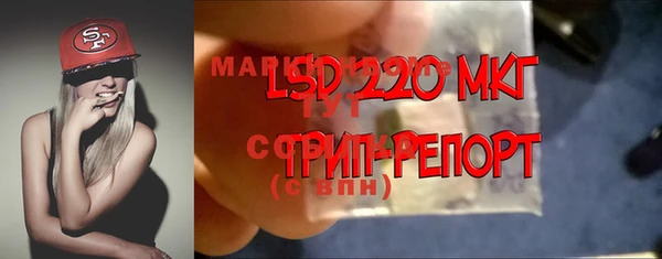 ПСИЛОЦИБИНОВЫЕ ГРИБЫ Остров