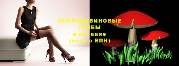 ПСИЛОЦИБИНОВЫЕ ГРИБЫ Остров