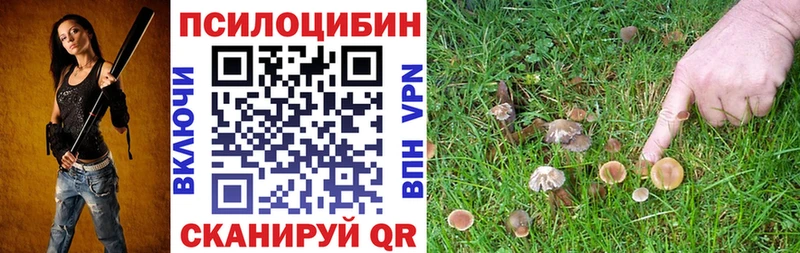 мега tor Николаевск Псилоцибиновые грибы прущие грибы купить наркотик